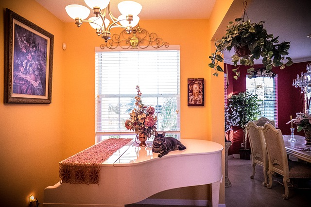 Wie viel Klavierspielen ist im Wohnungseigentum erlaubt?